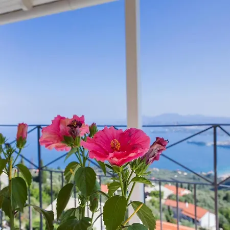 Tatil Evi Corfu Sight Blue Spartylas